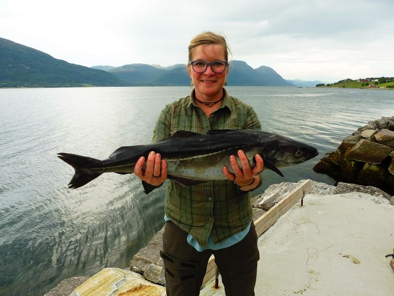 Fiskesenter Birkeland Fangerfolge 0012